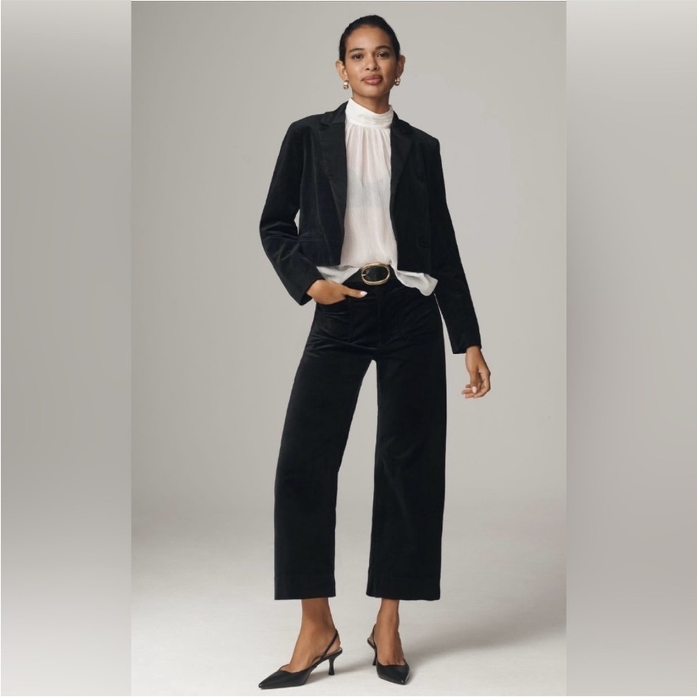 Anthropologie The Colette Cropped Wide-Leg Pants Velvet Edition Size 28 NWT